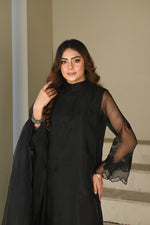 Black embroidered organza